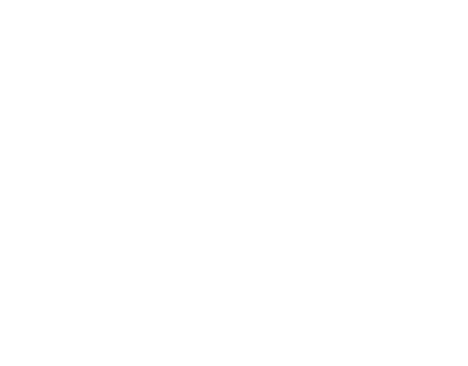 COMERCIALIZADORA Y CONSTRUCCIONES LS RODRIGUEZ S.A. DE C.V. ​